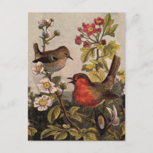 Postal Pájaros Cantores Robin Botánico Floral Vintage