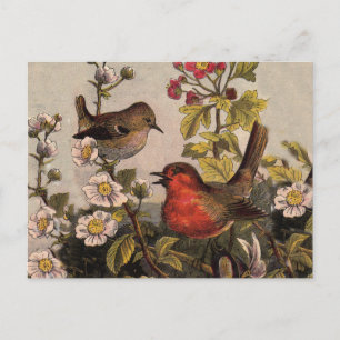 Postal Pájaros Cantores Robin Botánico Floral Vintage