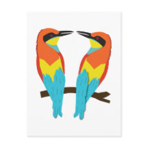 PÁJAROS DE AMOR Postcard