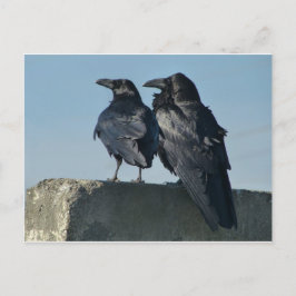 Postal Pájaros del amor