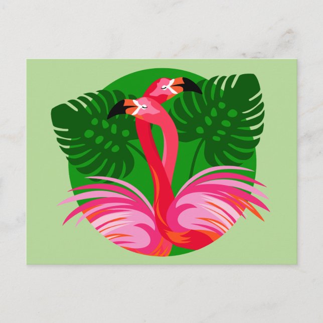 Postal Pájaros del flamenco (Anverso)