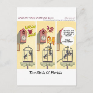 Postal Pájaros Divertidos de Florida que se Quedan en su 
