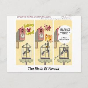Postal Pájaros Divertidos de Florida que se Quedan en su