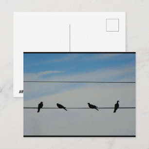 Postal Pájaros en un Alambre
