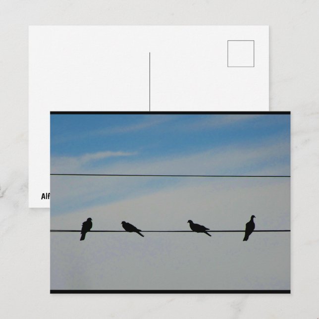 Postal Pájaros en un Alambre (Anverso / Reverso)