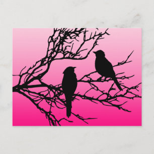 Postal Pájaros en una rama, negros contra el rosa del alb