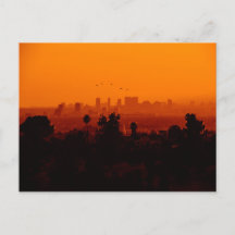 Pájaros en Vuelo (Los Ángeles, CA)