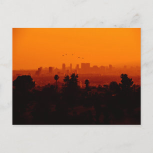 Postal Pájaros en Vuelo (Los Ángeles, CA)