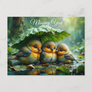 Postal Pájaros esponjosos y lindos en la lluvia *Te extra
