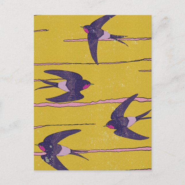 Postal Pájaros golondrinas (Anverso)