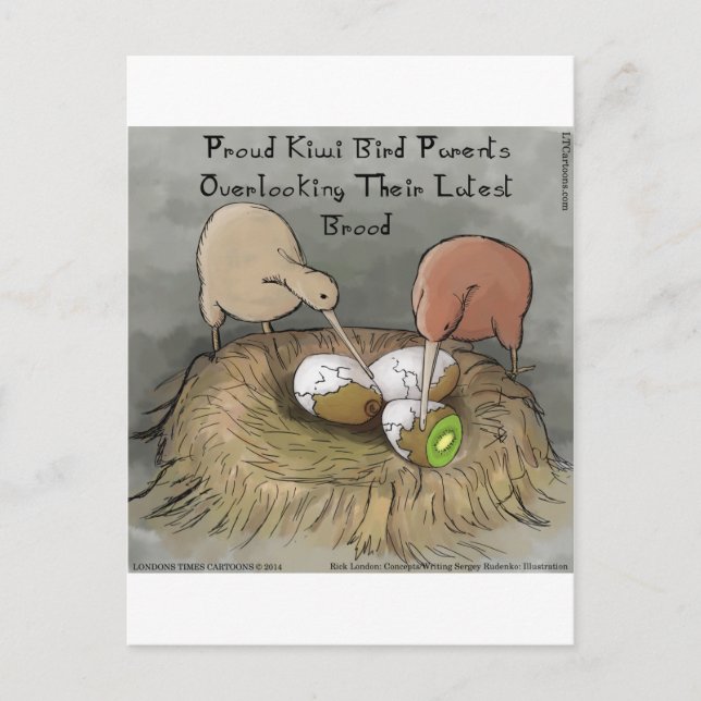 Postal Pájaros Kiwi Divertidos Cuidando su Fruta (Anverso)