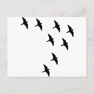 Postal pájaros negros
