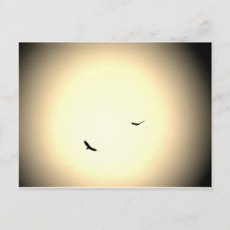 Postal pájaros que se disparan libremente en el cielo