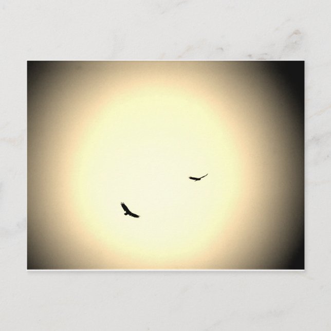 Postal pájaros que se disparan libremente en el cielo (Anverso)
