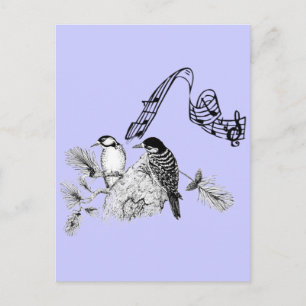 Postal Pájaros Vintage