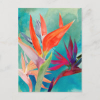 Pájaros vivos del paraíso