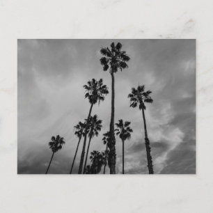 Postal Palabras de B&W Los Angeles
