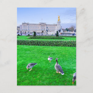 Postal Palacio de Buckingham, London UK Postcard
