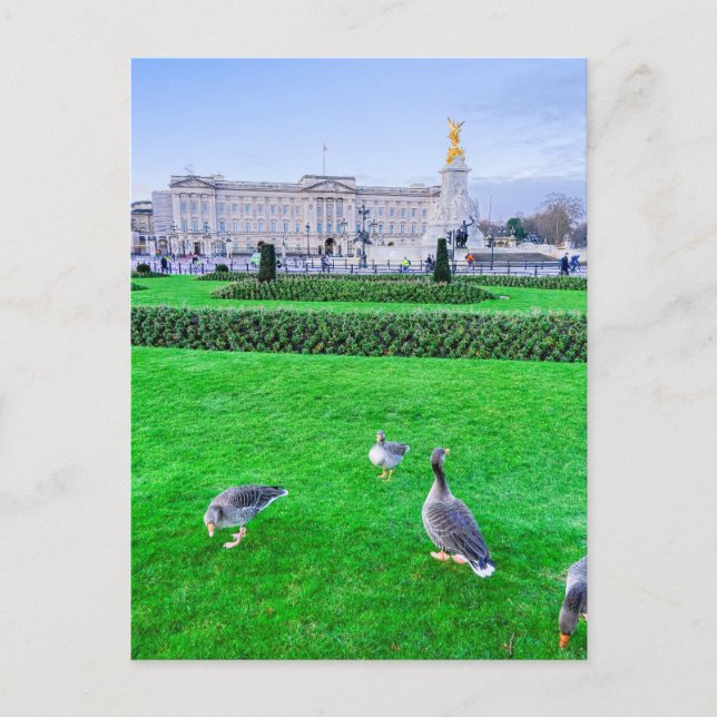 Postal Palacio de Buckingham, London UK Postcard (Anverso)