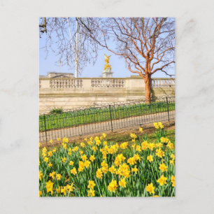 Postal Palacio de Buckingham, London UK Postcard