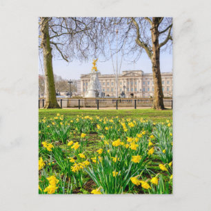 Postal Palacio de Buckingham, London UK Postcard