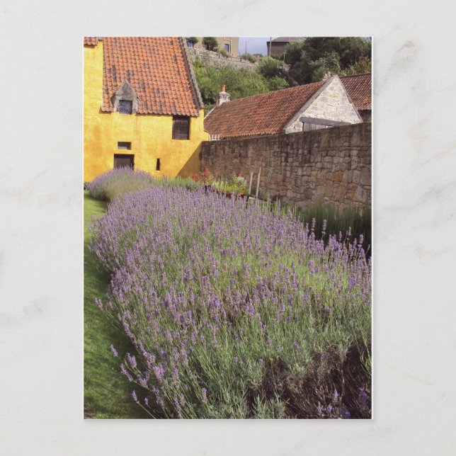 Postal Palacio del Culross - Jardín frontal (Anverso)