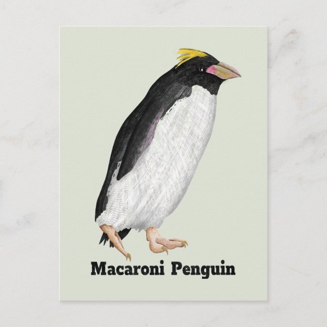 Postal Palaeeudyptes Extinct Penguin (Anverso)