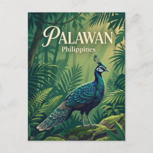 Postal Palawan Filipinas