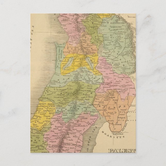 Postal Palestina 3 (Anverso)