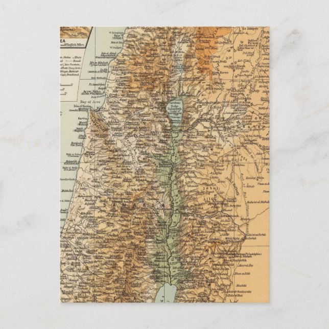 Postal Palestina 3 (Anverso)