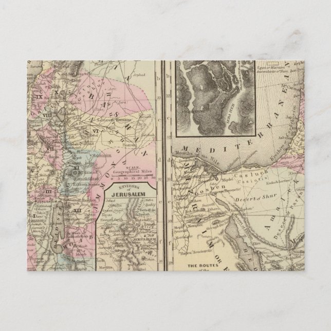 Postal Palestina, israelíes (Anverso)