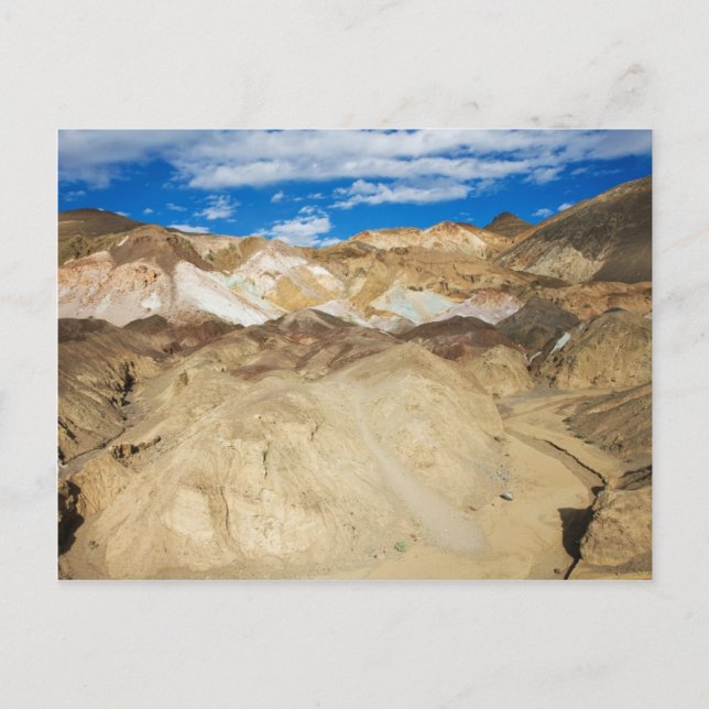 Postal Paleta de Artista (Anverso)