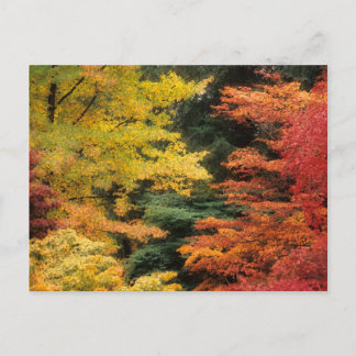 Postal Paleta de otoño