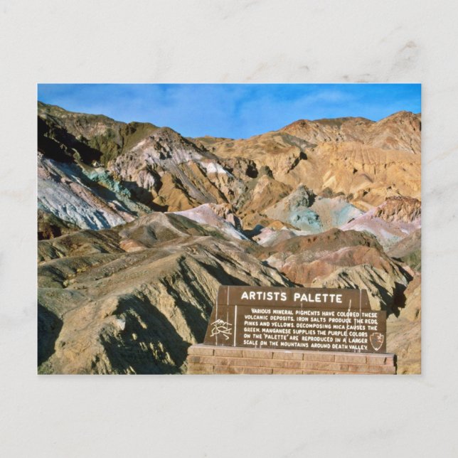 Postal Paleta del artista (Anverso)