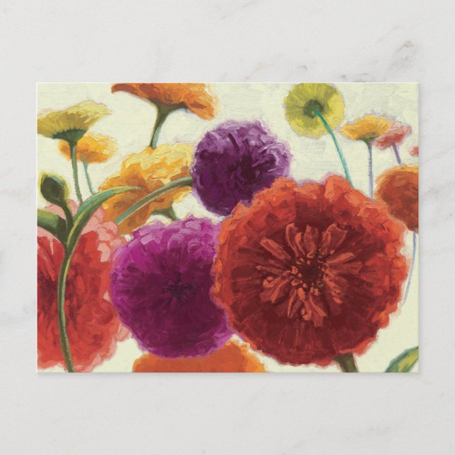 Postal Paleta pura Zinnias (Anverso)