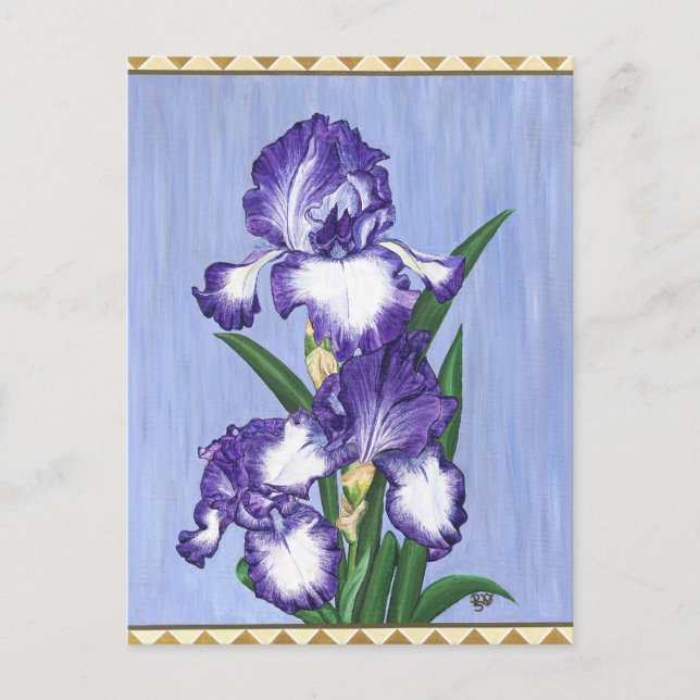 Postal Paleta Purple Iris Postcard (Anverso)