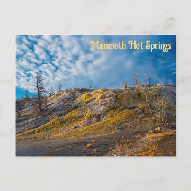 Postal Palette Springs Sunrise Mammoth Hot Springs (Anverso)