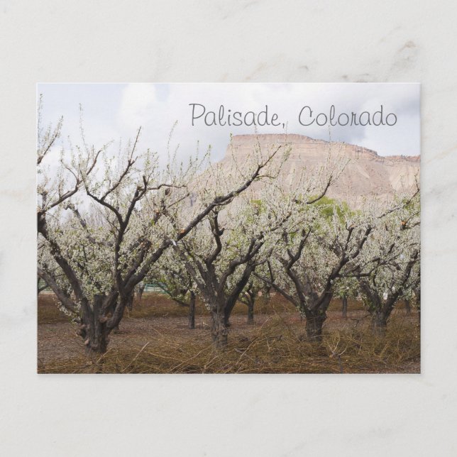 Postal Palisade, Colorado (Anverso)