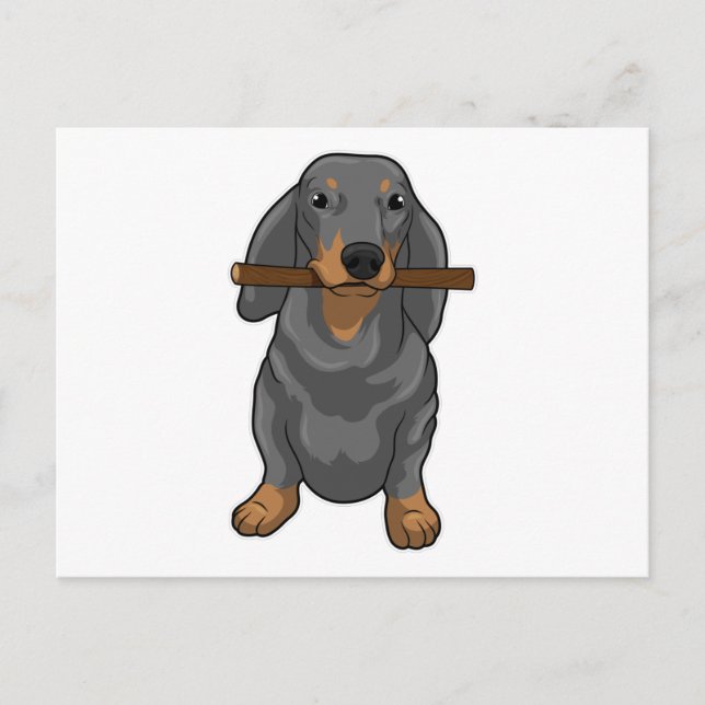 Postal Palito de Dachshund (Anverso)