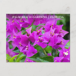 Postal Palm Beach Gardens Florida Floral Travel