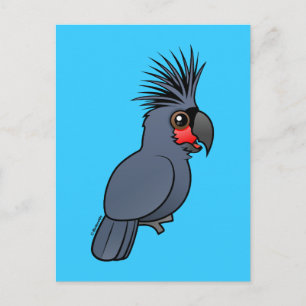 Postal Palm Cockatoo