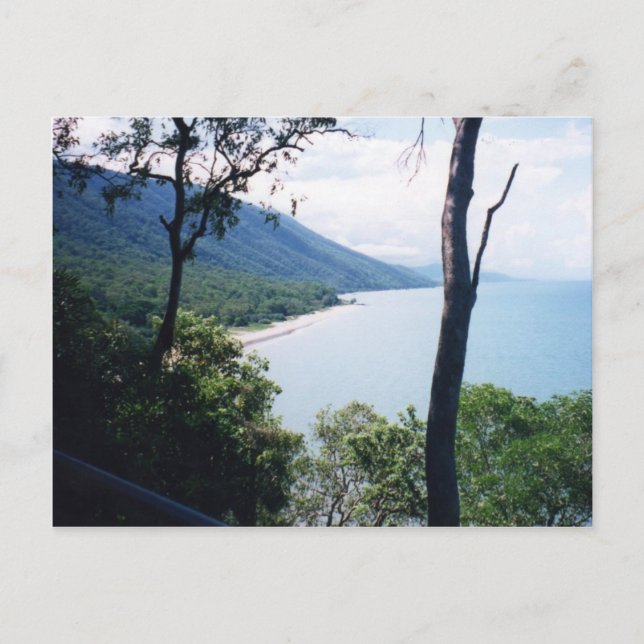 Postal Palm Cove (Anverso)