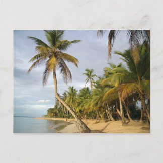 Postal Palm cruzada