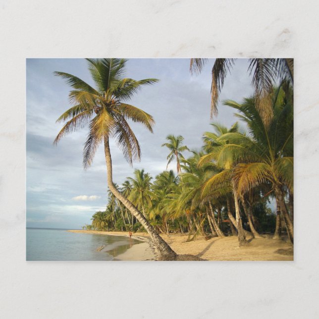 Postal Palm cruzada (Anverso)