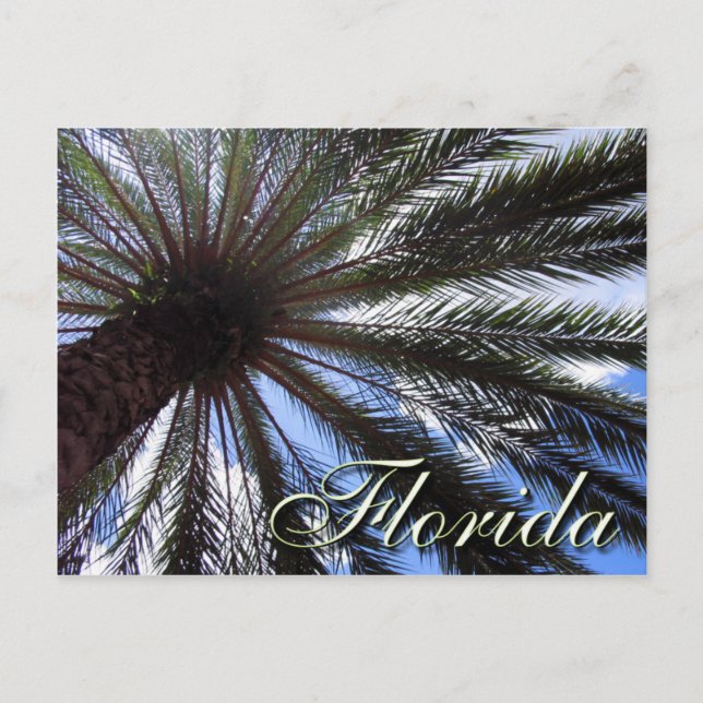 Postal Palm de Florida (Anverso)