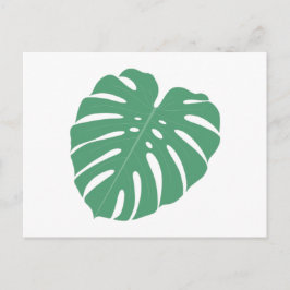 Postal Palm Leaf