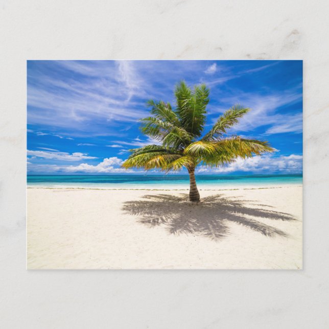 Postal Palm on White Sand Beach (Anverso)