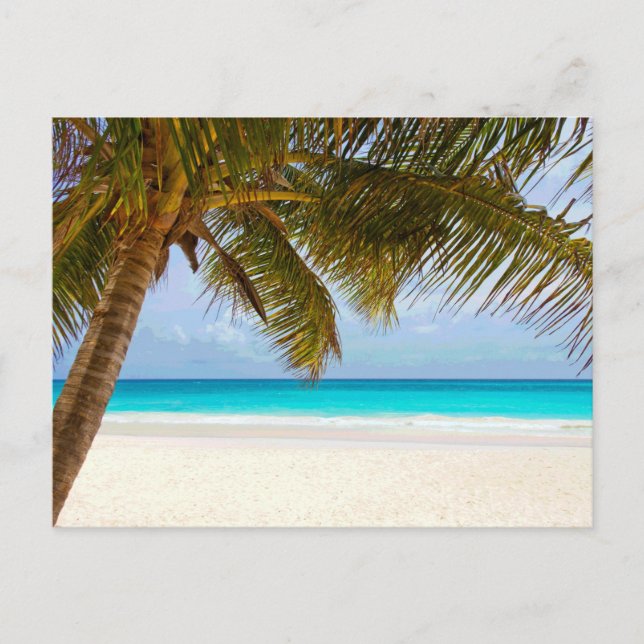 Postal Palm Paradise Blue Sky Sunshine (Anverso)