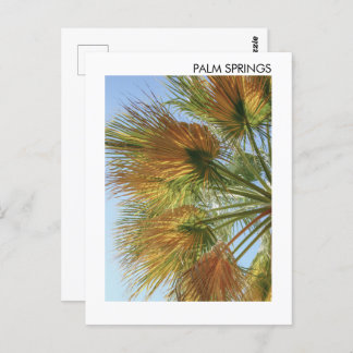 Postal Palm Springs Palm Trees y Palm Fronds