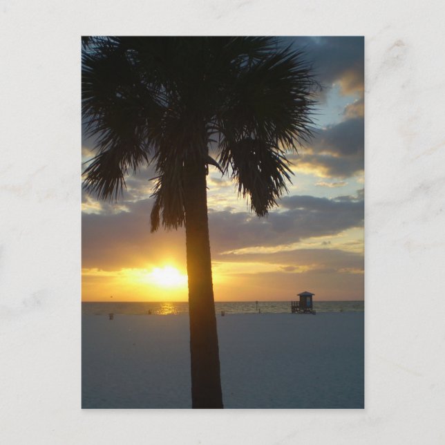 Postal Palm Sunset (Anverso)